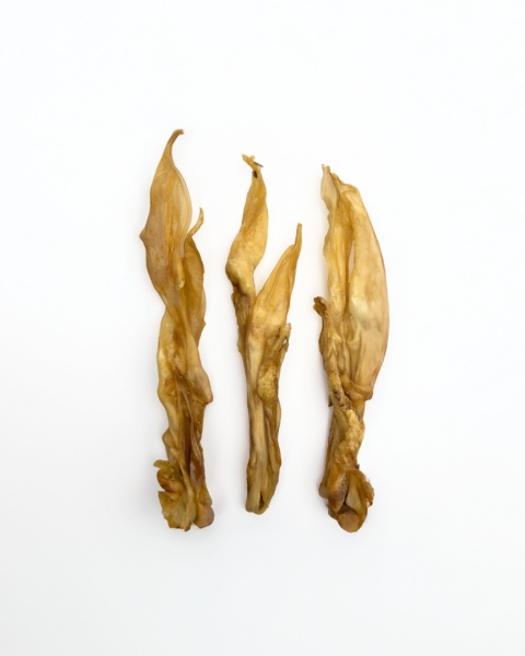 Naturalny gryzak dla psa – suszone ucho królicze 10 sztuk