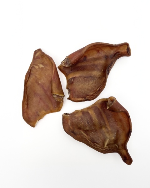 Naturalny gryzak dla psa – suszone ucho wieprzowe