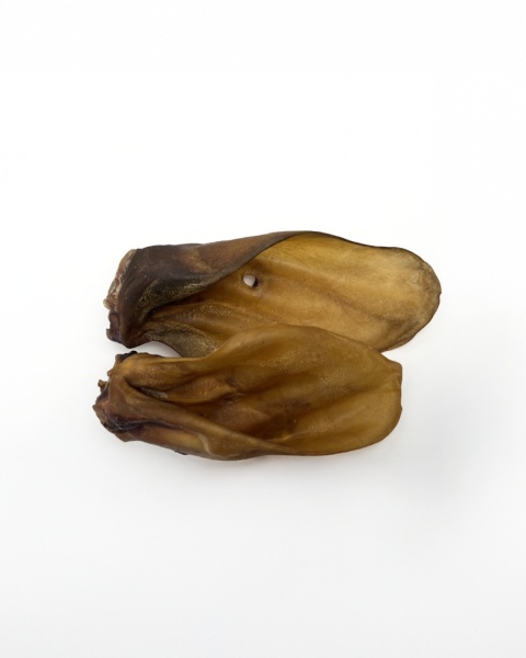 Naturalny gryzak dla psa – suszone ucho wołowe